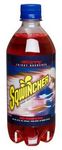 Sqwincher Ready-To-Drink Cherry 20 oz. Bottles
