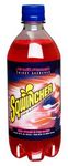 Sqwincher Ready-To-Drink Fruit Punch 20 oz. Bottles