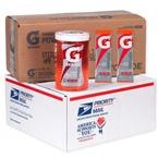 Gatorade Fruit Punch Military Powder Packets - Military Gatorade Sticks
