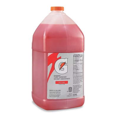 Gatorade Fruit Punch 1 Gallon Liquid Concentrate - 4/case 