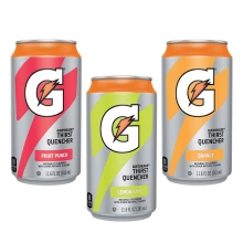 Gatorade Cans - 24 -11.6 oz Cans - 10 Case Bundle