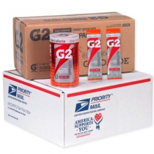 Buy Gatorade G2 Fruit Punch Military Powder Packets on sale online