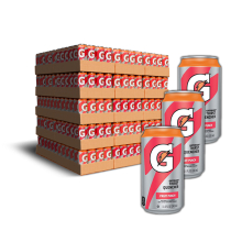 50 Case Gatorade Can Half Pallet Bundle - Fruit Punch