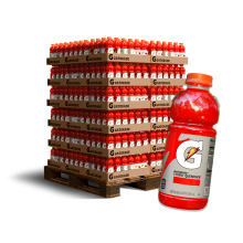 54 Cases Gatorade 20 oz Fruit Punch Thirst Quencher